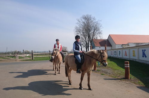 Photo 29 - Zoopark Zelčín