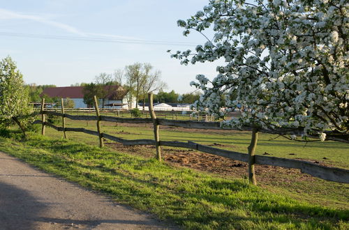 Photo 31 - Zoopark Zelčín