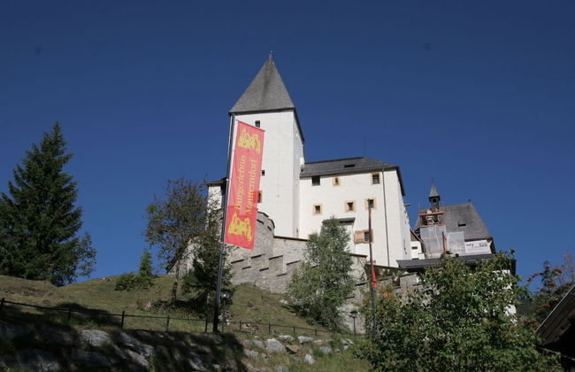 Apartment in the ski Area of St. Margarethen - Foto 22
