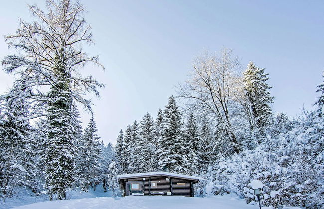 Chalet in Worgl Near Skiwelt Wilder Kaiser - Foto 24