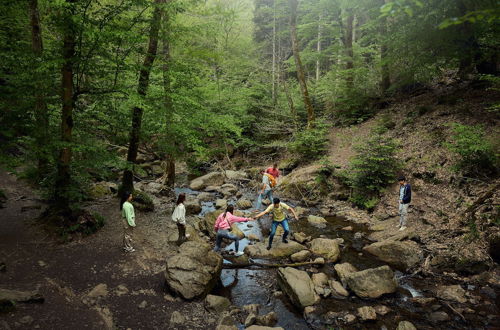 Photo 51 - Center Parcs Les Ardennes