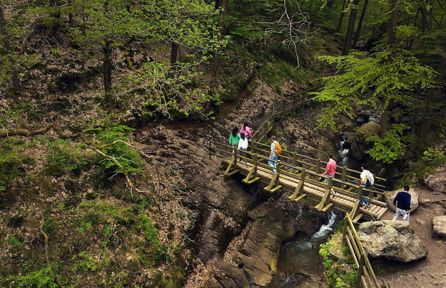 Center Parcs Les Ardennes - Foto 65