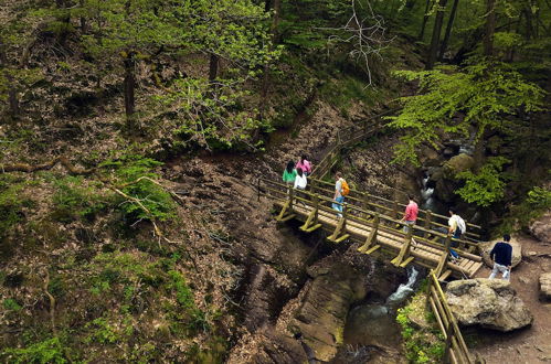 Foto 63 - Center Parcs Les Ardennes