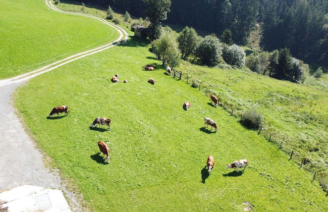 Cozy Apartment in Mühlbach with Garden near Ski Slopes - Foto 23