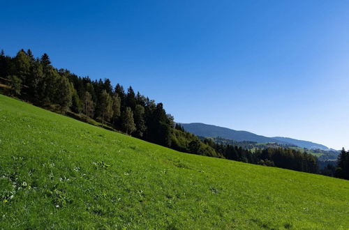 Photo 27 - Cozy Apartment in Mühlbach with Garden near Ski Slopes