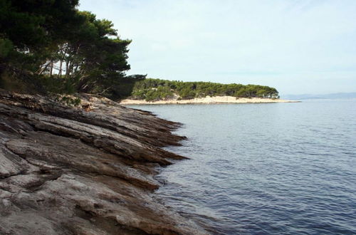 Photo 15 - Olive - 150 m From sea - H