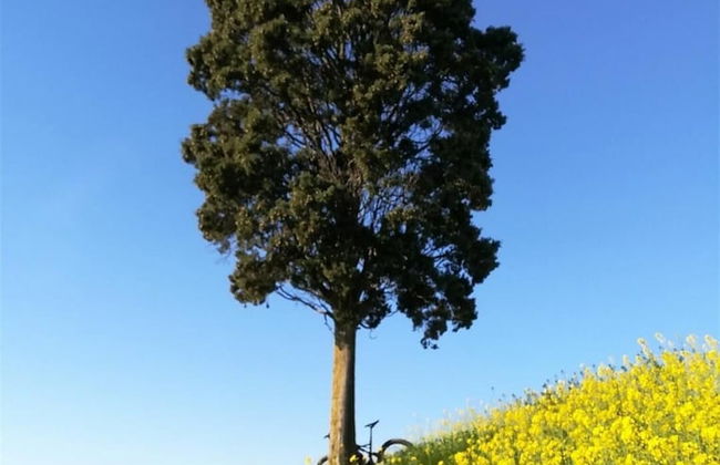 Villa Clair - Villa Clair - Foto 62
