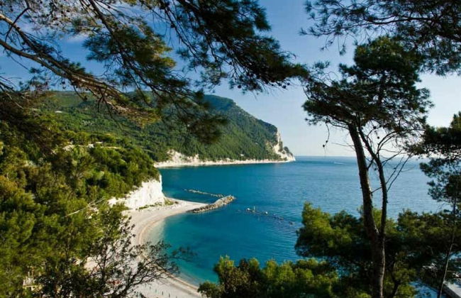 Conero Loft - Conero Loft - Photo 4