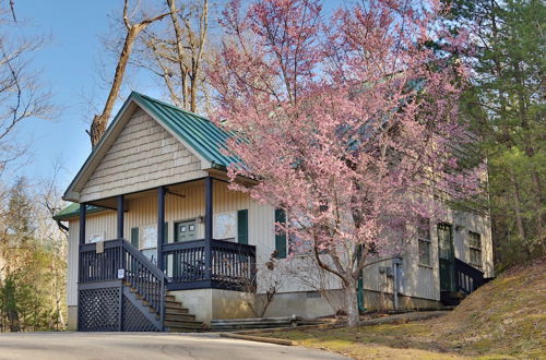 Photo 33 - Apple Blossom 10 - Two Bedroom Chalet