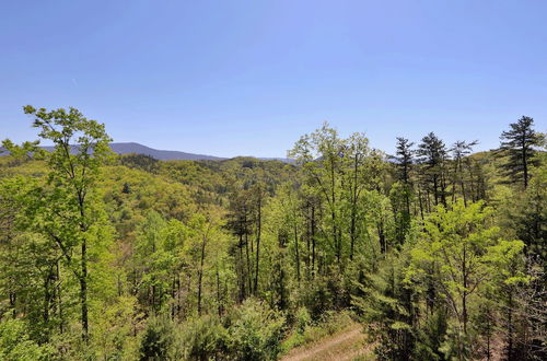 Foto 40 - BearADise in the Smokies - Two Bedroom Cabin