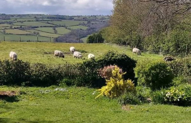 Willow Spacious Self Catering Near Hay on Wye - Foto 8