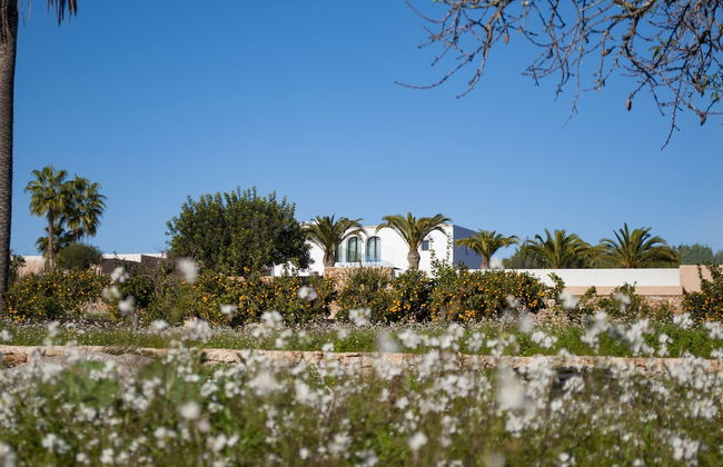 Safragell Ibiza Suites & Spa - Foto 64