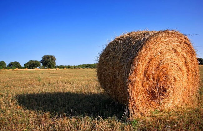 Agriturismo Valle Martina - Photo 89