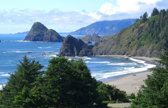 Lx28: Gold Beach Oceanfront Estate - Foto 36