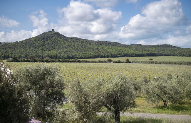 Il Cru di Vignanova - Foto 60