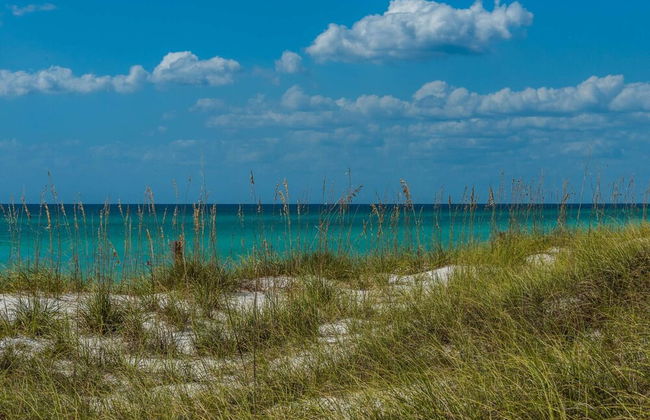 Island Time - Foto 48