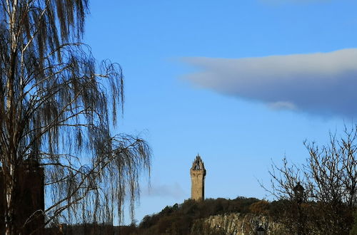 Photo 15 - The Cambus Flat, Cambuskenneth, Stirling