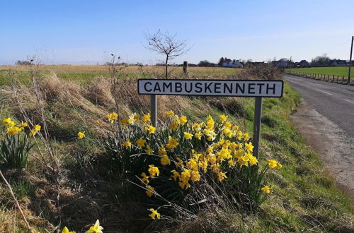 Photo 18 - The Cambus Flat, Cambuskenneth, Stirling