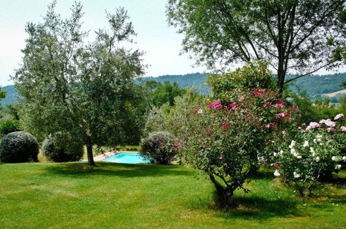 Photo 13 - Casale Chimneys Immersed in Olive Trees