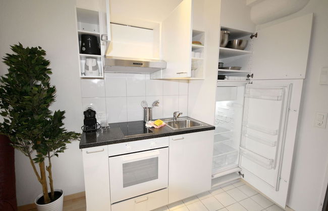 Hitrental Stauffacher Apartments - Foto 21