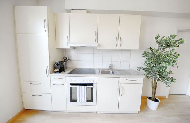 Hitrental Stauffacher Apartments - Foto 19