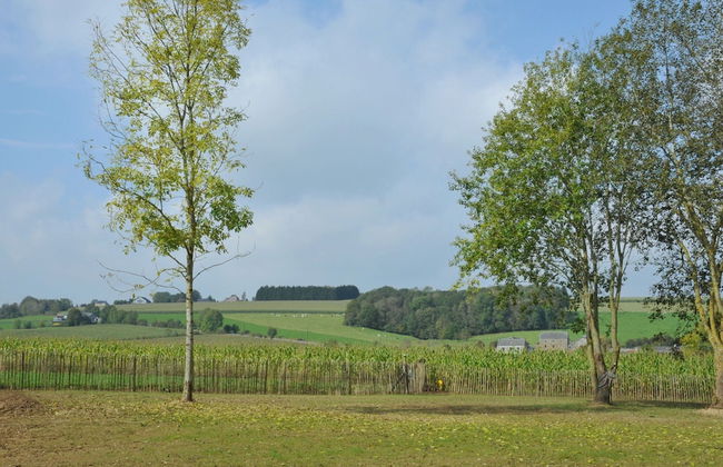 Cozy Holiday Home in Sommeleuze With Private Pool - Foto 20