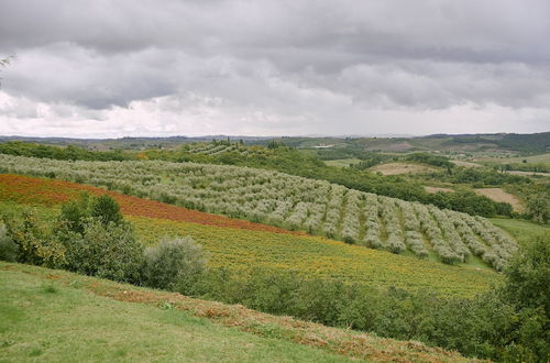 Photo 30 - Bibbiano - Il Pero