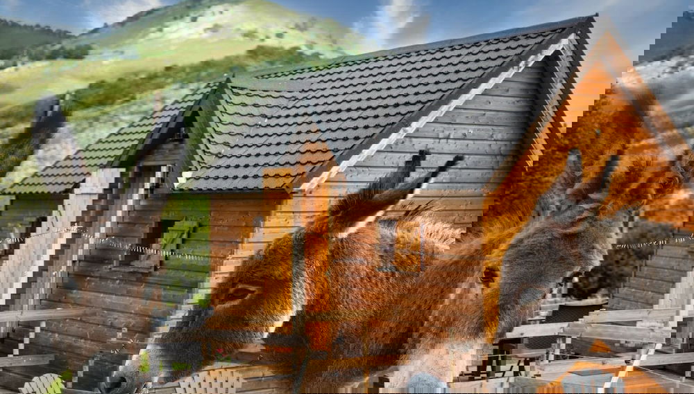 Imagem principal