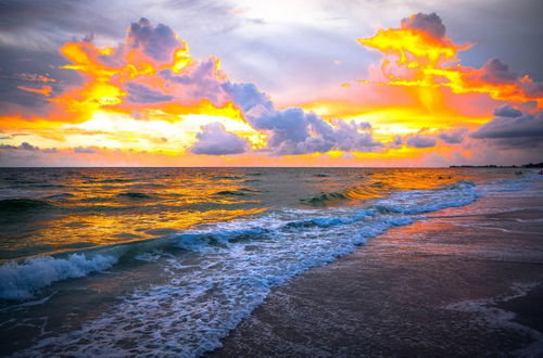 Photo 19 - Anna Maria Island Beach Sands 201