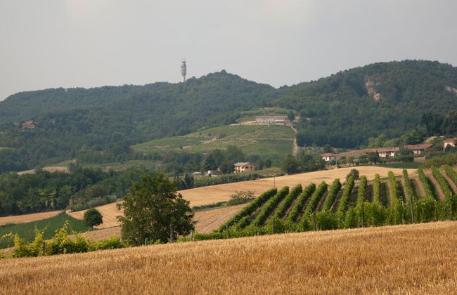 Crealto - Foto 26