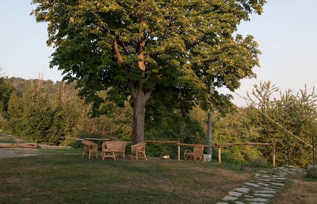 Crealto - Foto 25