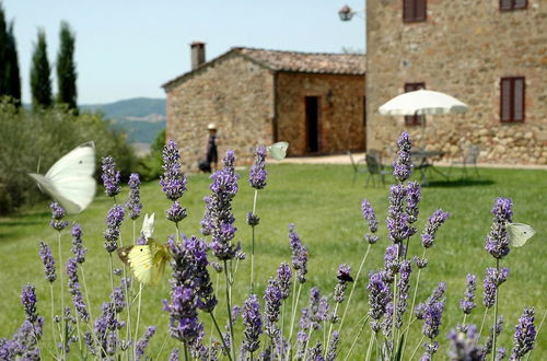 Photo 39 - Fattoria Casabianca