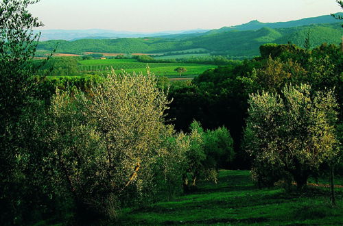 Photo 51 - Fattoria Casabianca