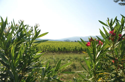 Photo 36 - Fattoria Casabianca