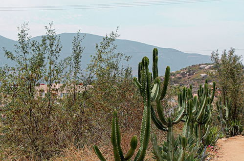 Photo 20 - Posada San Antonio