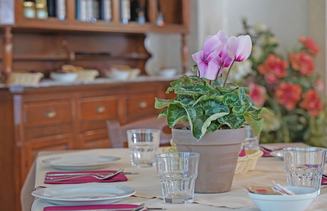 Agriturismo Corte Tonolli - Foto 41