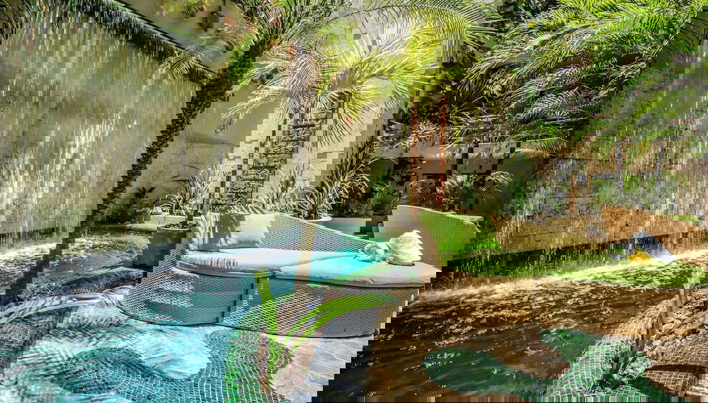 Imagem principal
