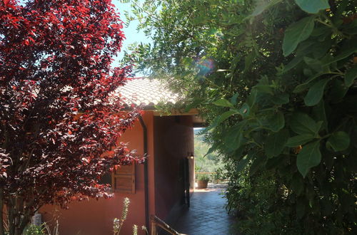 Photo 23 - Snug Holiday Home in Castagneto Carducci near Thermal Bath