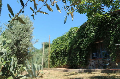 Photo 24 - Snug Holiday Home in Castagneto Carducci near Thermal Bath