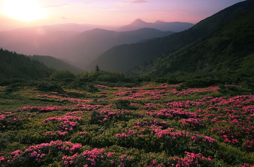 Photo 45 - Huckleberry Ridge