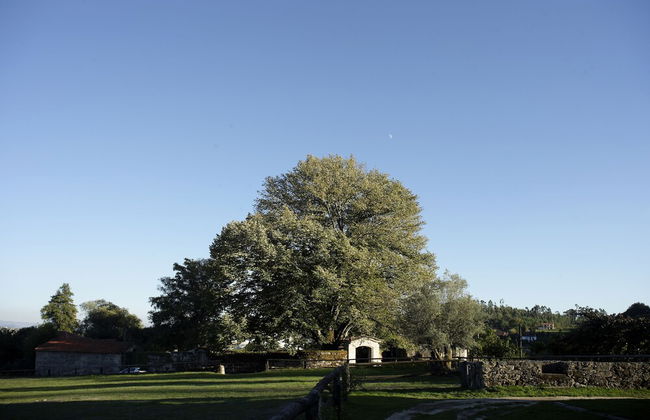 Quinta do Rapozinho - Foto 75