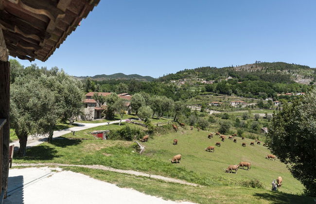 Quinta do Rapozinho - Foto 80