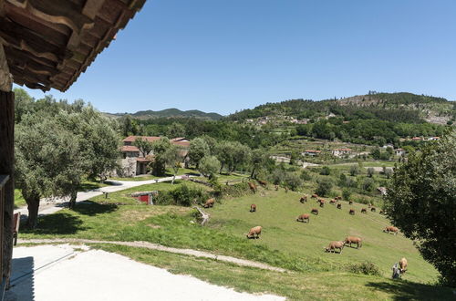 Photo 72 - Quinta do Rapozinho