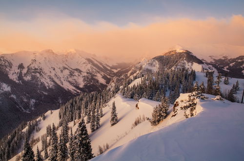 Photo 52 - Hayden Lodge by Snowmass Mountain Lodging