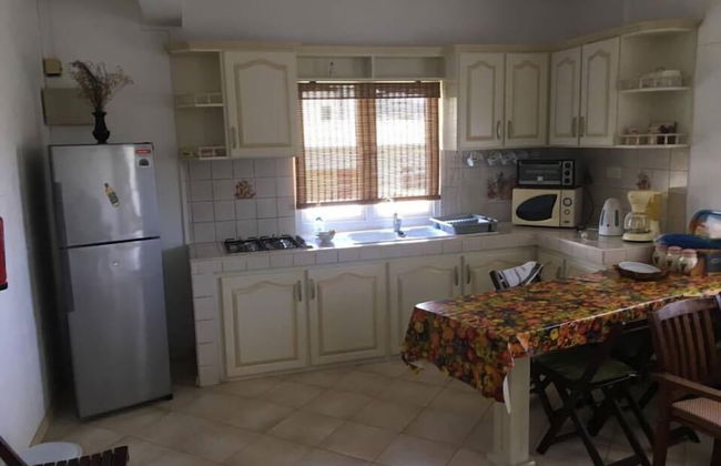 Faisan Dore - Foto 6