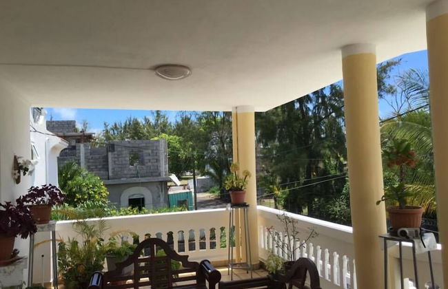 Faisan Dore - Foto 15