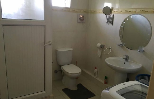 Faisan Dore - Foto 9