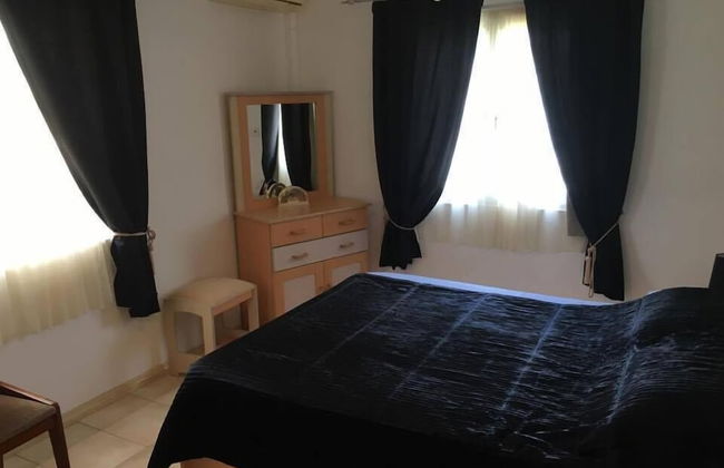 Faisan Dore - Foto 4