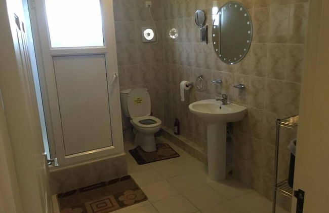 Faisan Dore - Foto 8