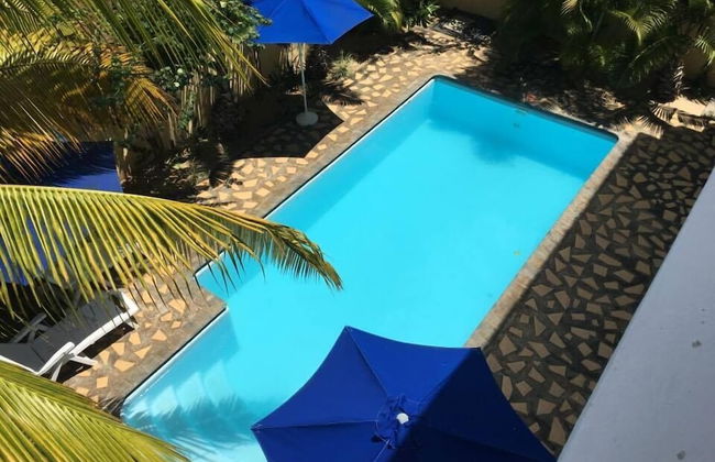 Faisan Dore - Foto 11